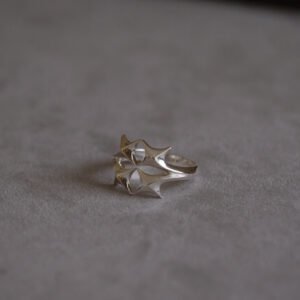 Addition(s)-1 UNITY Ring