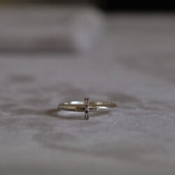 Addition(s)-13 RINORI Ring (S)