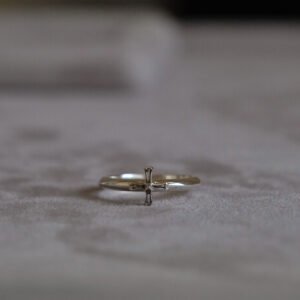 Addition(s)-13 RINORI Ring (S)