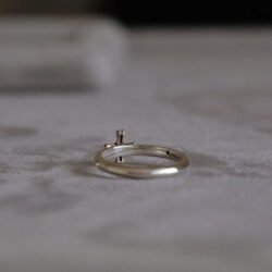 Addition(s)-15 RINORI Ring (S)