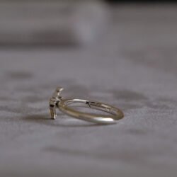 RINORI Ring (L)