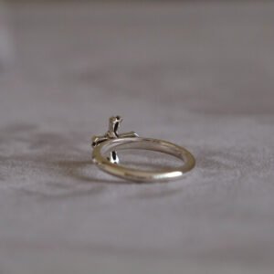 Addition(s)-18 RINORI Ring (L)
