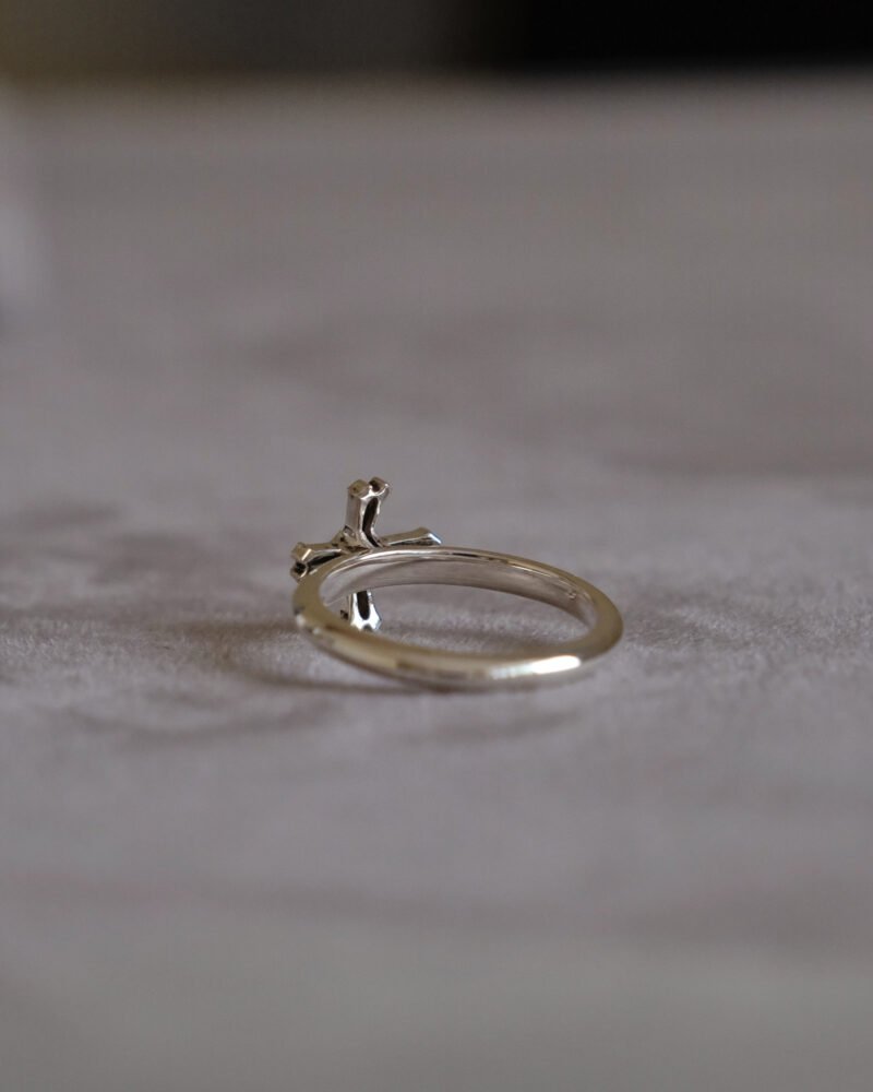 Addition(s)-18 RINORI Ring (L)