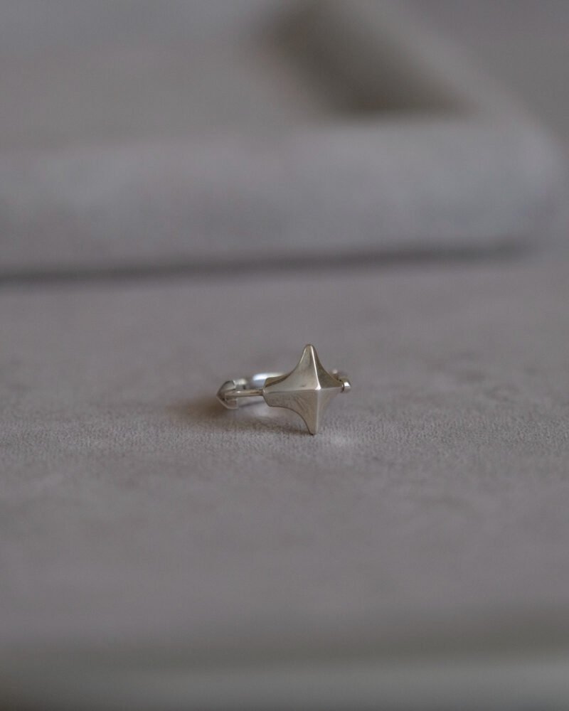 Addition(s)-29 ENSO Earring