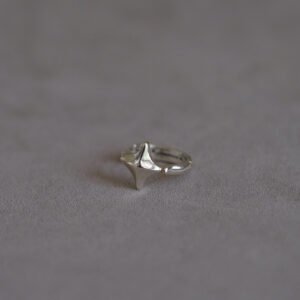 Addition(s)-30 ENSO Earring