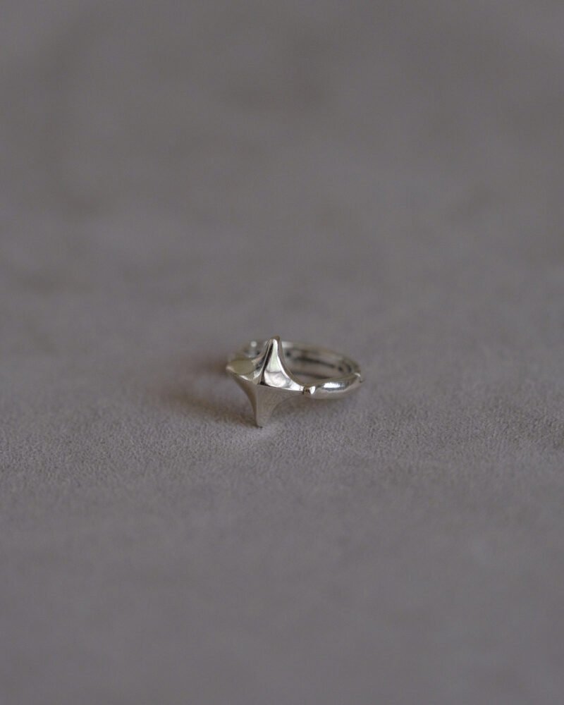 Addition(s)-30 ENSO Earring